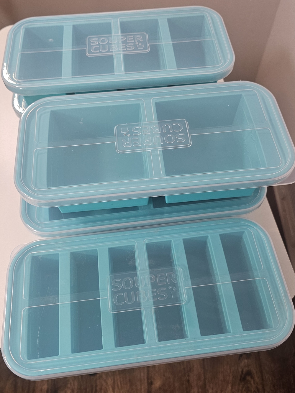 Silicone Portion Tray - Teal Blue
